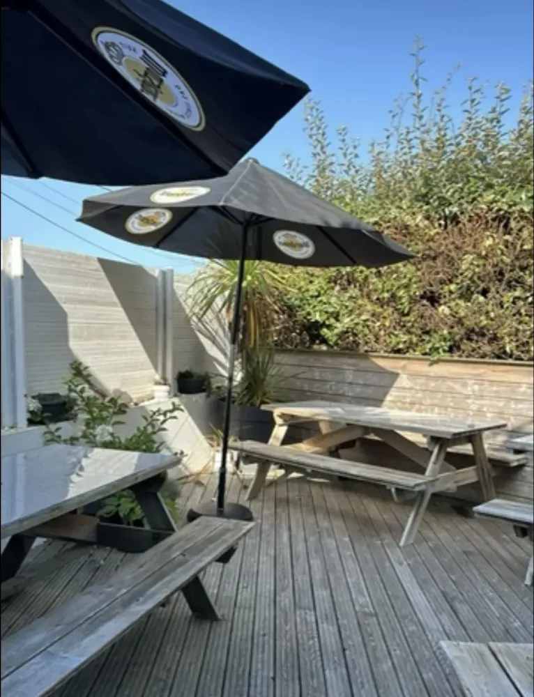Oasis 3